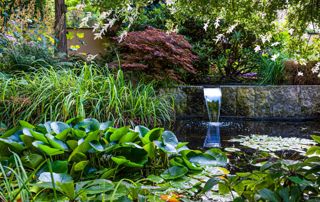 jardin avec bassin et chute d eau